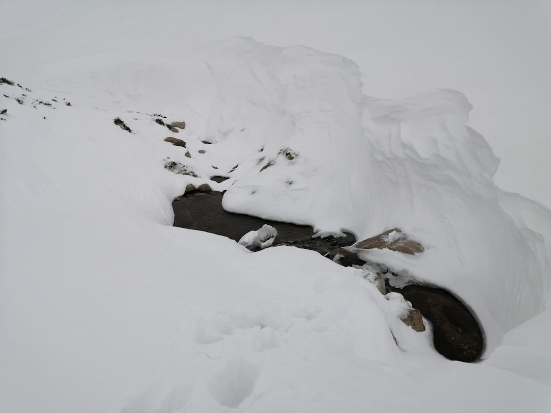 Bursa Uluslararası Spor Festivali Geleceğe Hazırlıkta - Spor haberi görseli