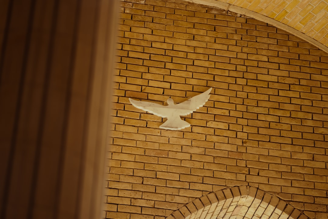 Adana’dan Orta Doğu’ya Yeni Ticari Köprü: Erbil’e Direkt Uçuşlar Başlıyor - Ekonomi haberi görseli