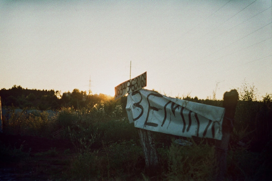 İstanbul Modern’de Semiha Berksoy retrospektifi sürüyor - Kültür-Sanat haberi görseli