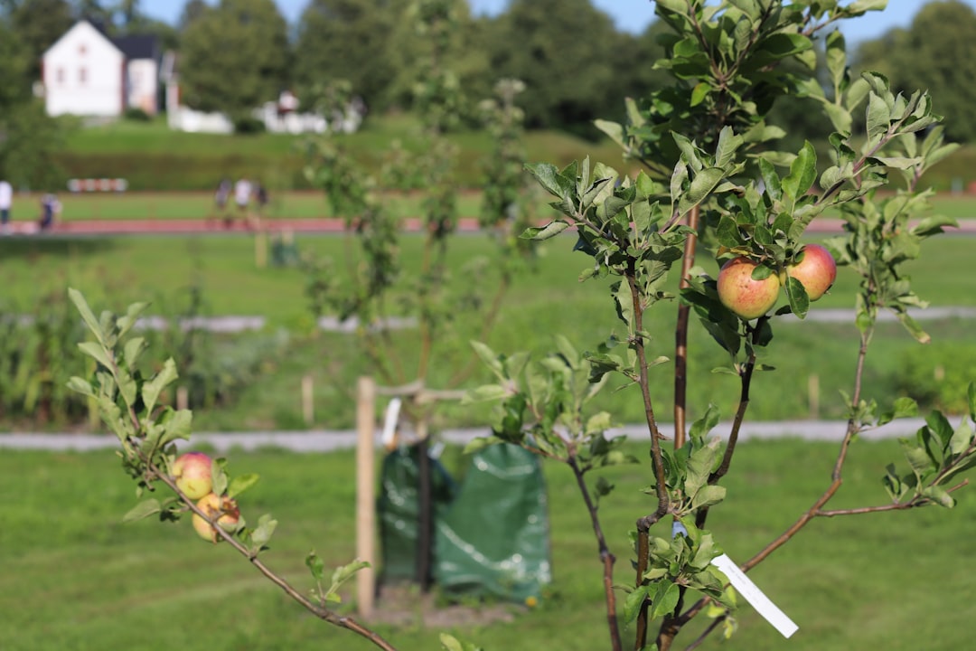Bursa’ya 2026’da 750 Yataklı Yeni Şehir Hastanesi Geliyor - Sağlık haberi görseli