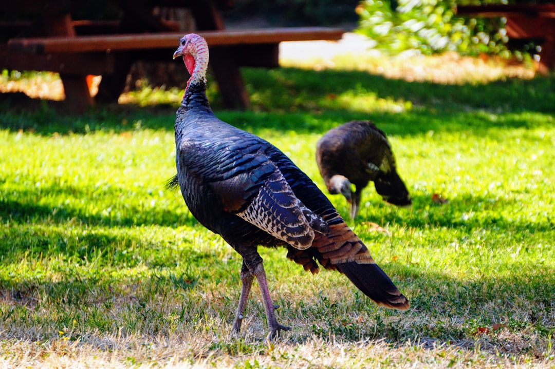 Gaziantep’te Gençlere Ücretsiz YKS Hazırlık Desteği Sürüyor - Yaşam haberi görseli