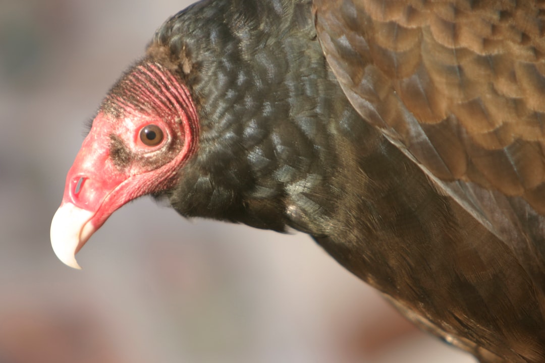 Gaziantep’te Besin Zehirlenmesi Uyarısı: Hafif Başlamayıp Ciddi Sonuçlara Yol Açabilir - Sağlık haberi görseli