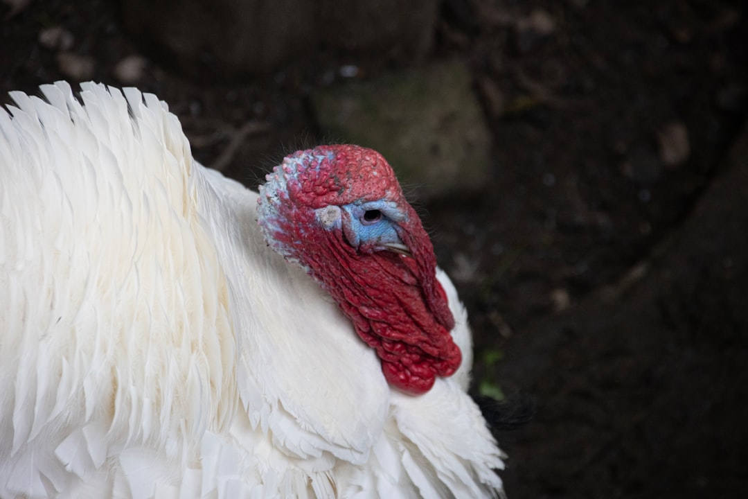 Gaziantep’te Kuyumcu Soygunu Sonrası Güvenlik Arayışı Öne Çıkıyor - Yaşam haberi görseli