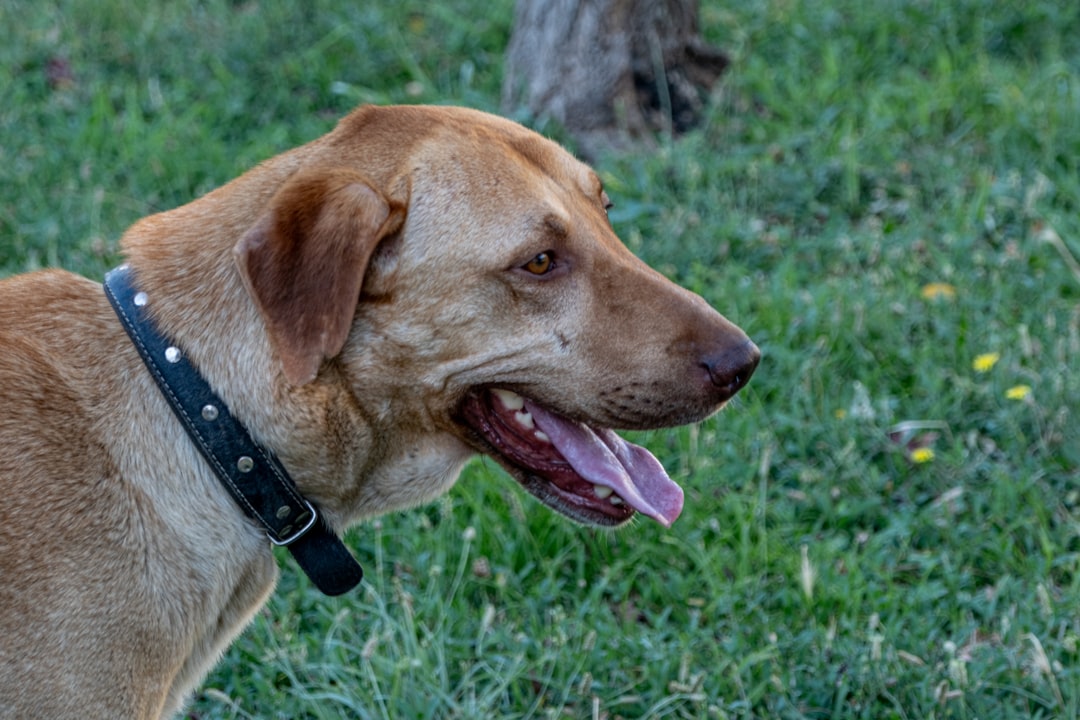 İzmir'de Bugün Sanat Dolu Bir Cumartesi - Kültür-Sanat haberi