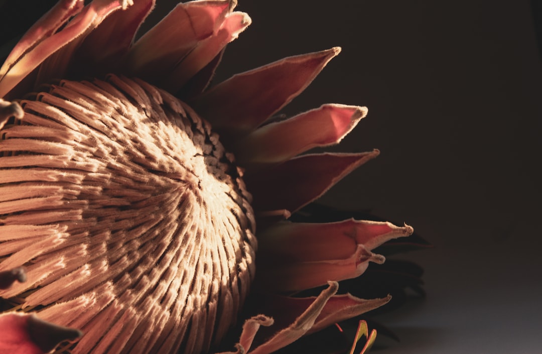 Gaziantep’te “Mukaddes Emanetler” Sergisi Ramazan’a Hazırlıkla Sanatseverlere Açıldı - Kültür-Sanat haberi görseli Gaziantep’te “Mukaddes Emanetler” Sergisi Ramazan’a Hazırlıkla Sanatseverlere Açıldı - Kültür-Sanat haberi görseli