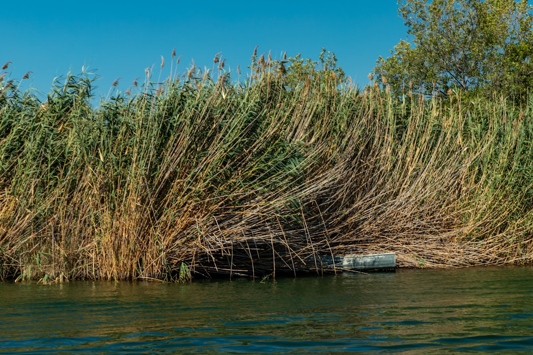 Gaziantep Barajları Suya Doydu: Kış Yağışları Bereket Getirdi - Yaşam haberi görseli
