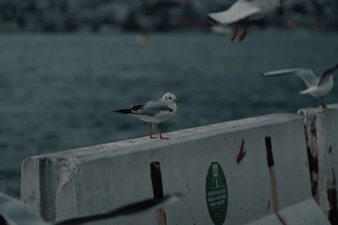 İstanbul Etkinlik Rehberi: Mart 2026 – ‘Gelecek Kısa’ Kısa Film Seçkisi Başlıyor - Kültür-Sanat haberi