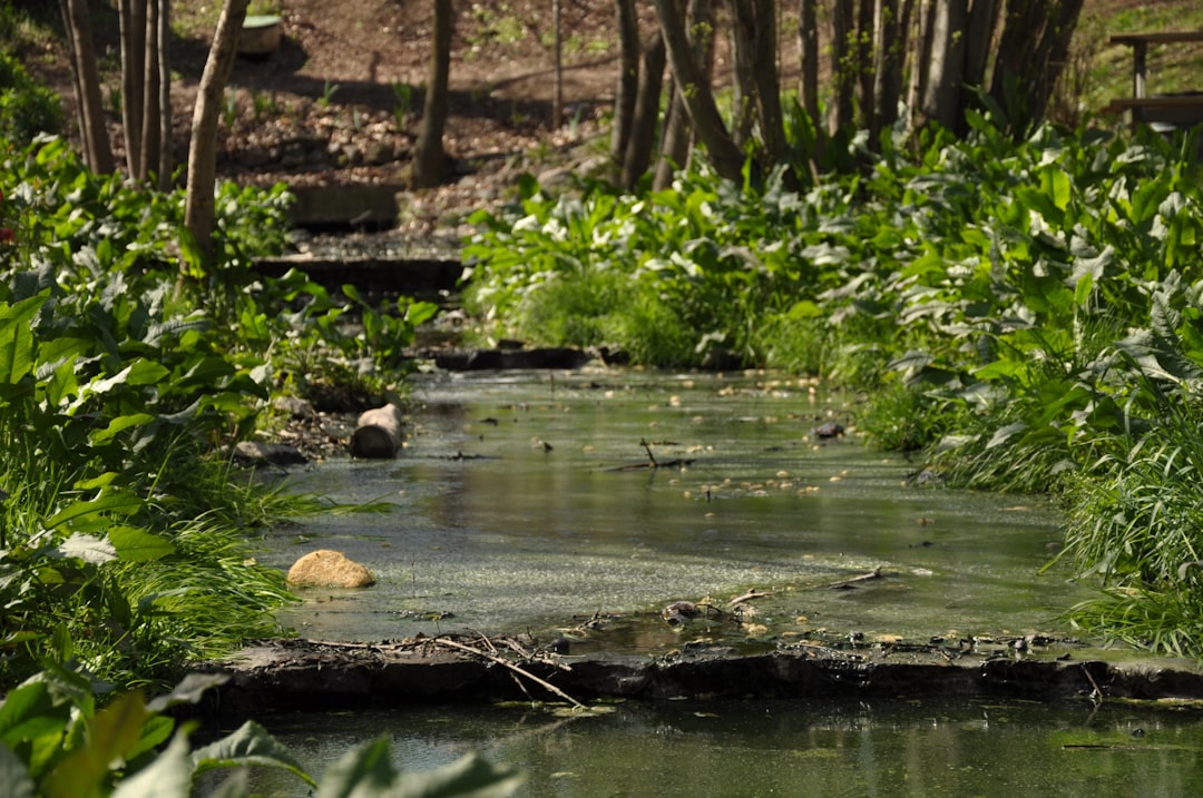 ASKİ’den Akyurt ve Keçiören’de Su Kesintisi Uyarısı - Gündem haberi görseli