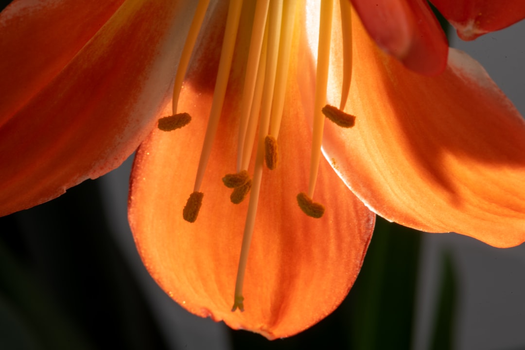 Adana'da Portakal Çiçekleri Sanatla Can Buldu - Yaşam haberi görseli