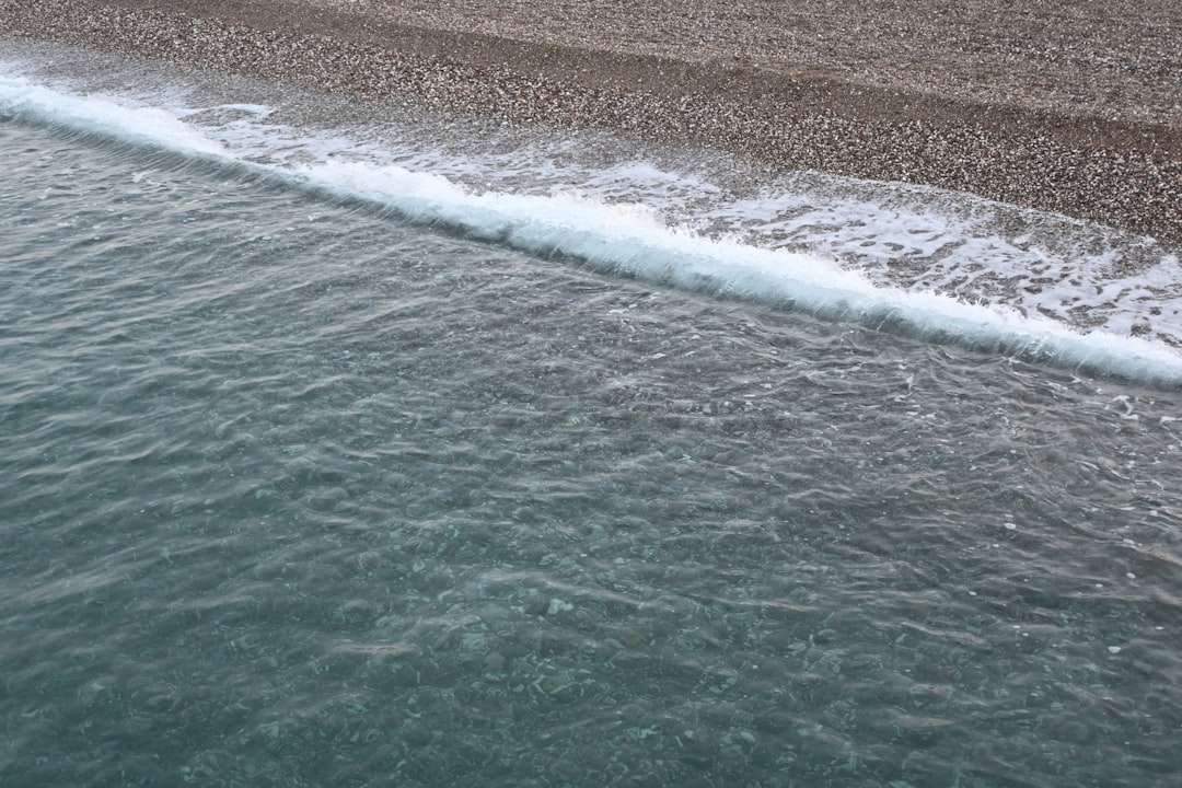 Antalya’nın Anlamlı Gününde Martı Doğaya Bırakıldı - Gündem haberi görseli
