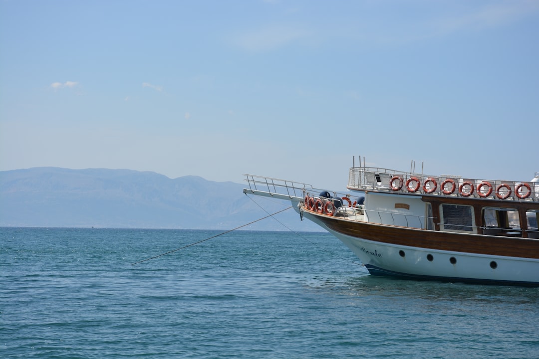 İzmir Körfezi'nde Midyelerde Sağlık Riskleri Tespit Edildi - Sağlık haberi görseli