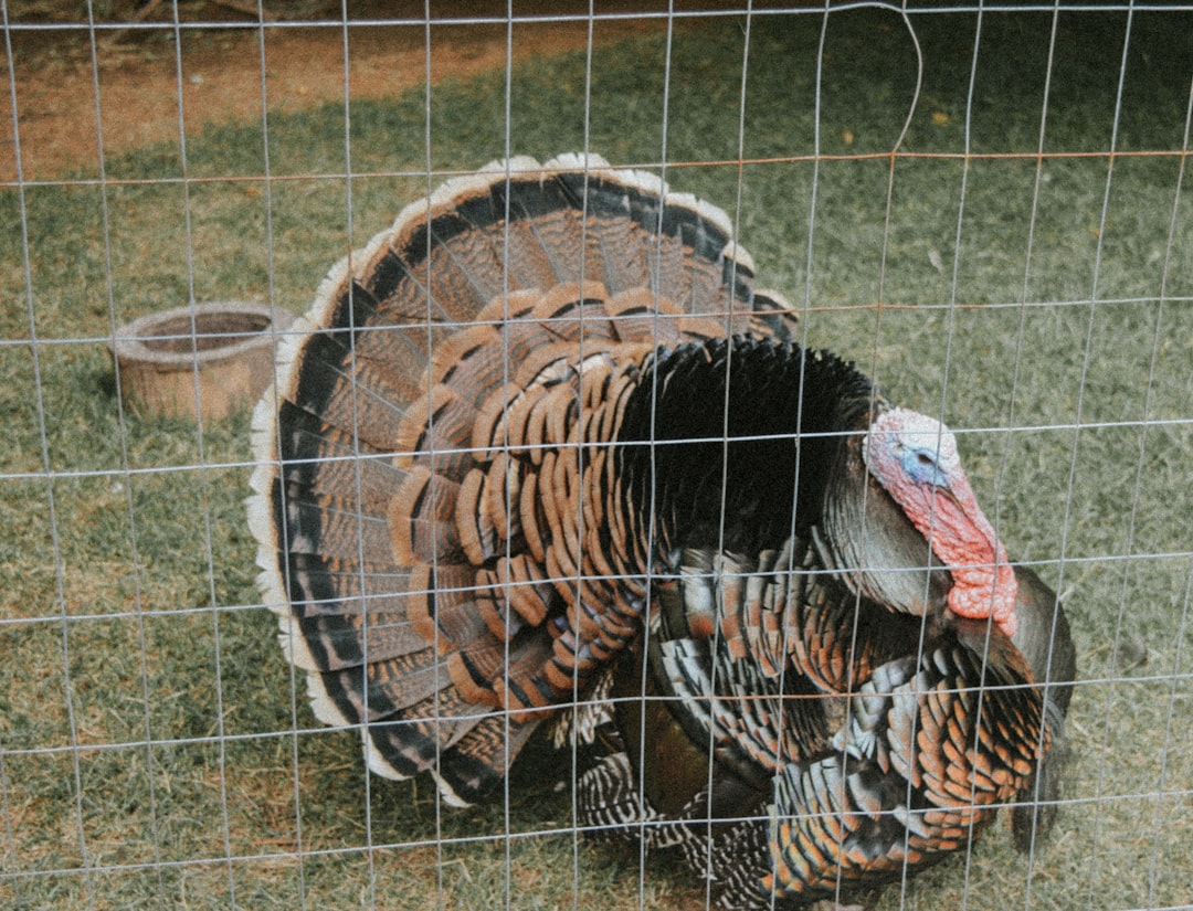 Gaziantep’te Nadir Bebek Tümörü Başarılı Operasyonla Çıkarıldı - Sağlık haberi görseli