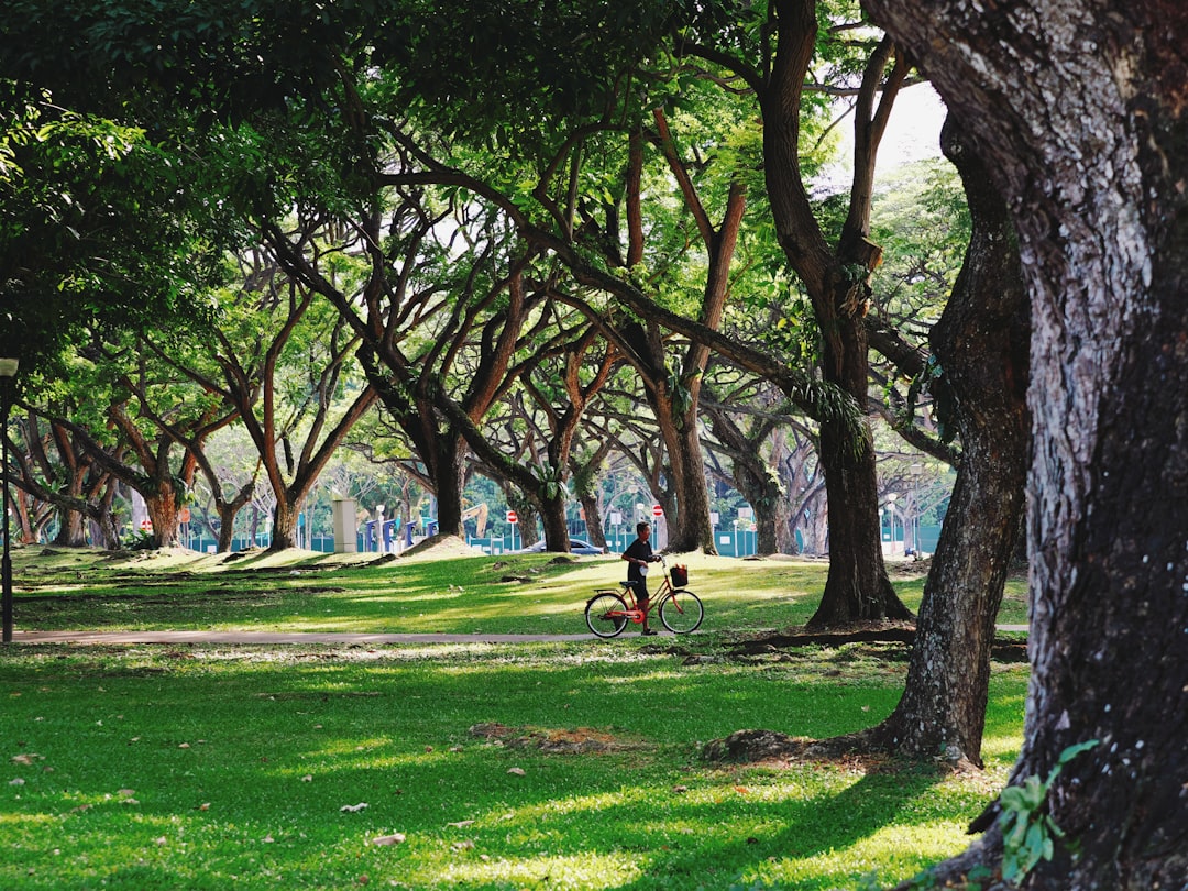 Bursa Büyükşehir Belediyesi Sağlıklı Şehirler Ağı’na Katılma Başvurusu Yaptı - Sağlık haberi görseli