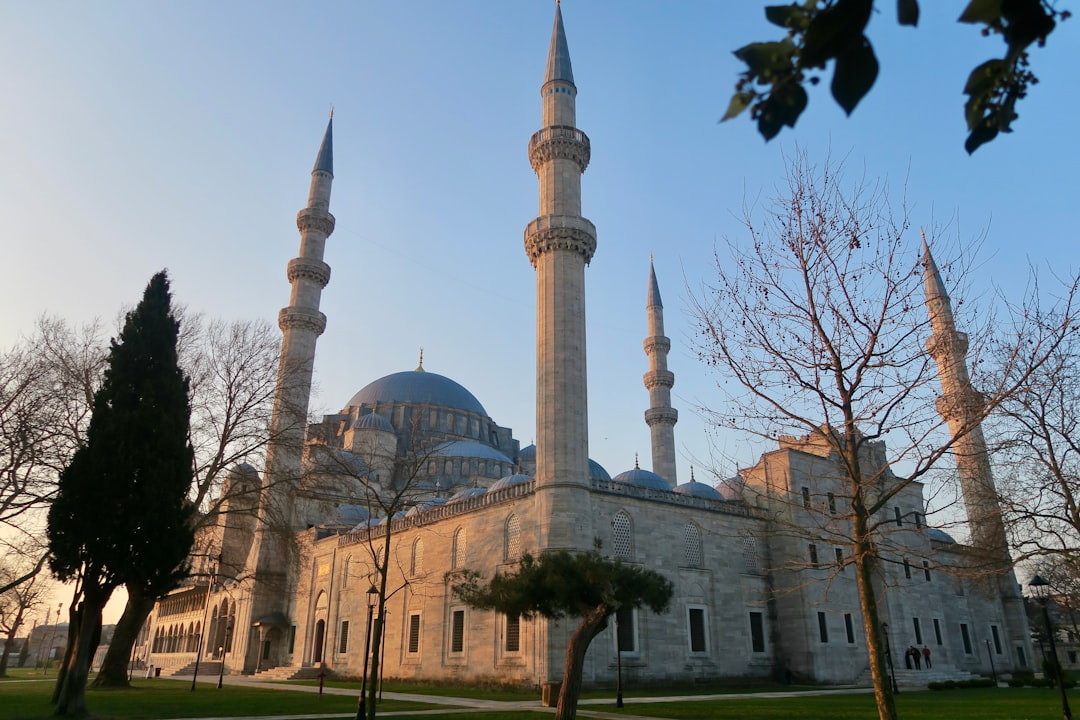 Adana Şubat Ayı İhracatında Yaş Meyve ve Sebze Öne Çıktı - Ekonomi haberi görseli Adana Şubat Ayı İhracatında Yaş Meyve ve Sebze Öne Çıktı - Ekonomi haberi görseli
