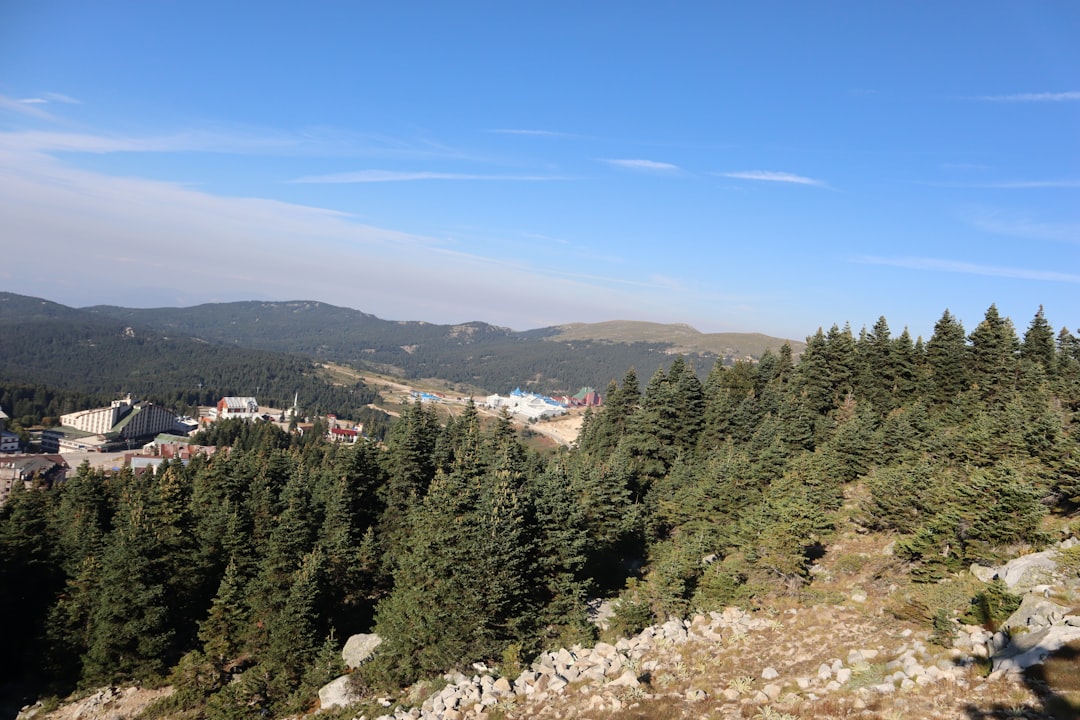 Orhangazi’de ‘‘Bahara Merhaba’’ Resim Sergisi Başlıyor - Kültür-Sanat haberi görseli
