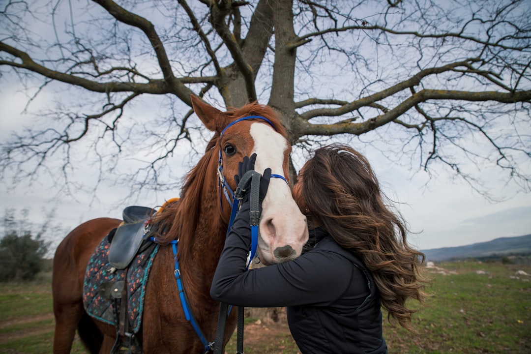 Adana’da 'Akdeniz Derbisi' Nefesleri Kesti - Spor haberi görseli Adana’da 'Akdeniz Derbisi' Nefesleri Kesti - Spor haberi görseli