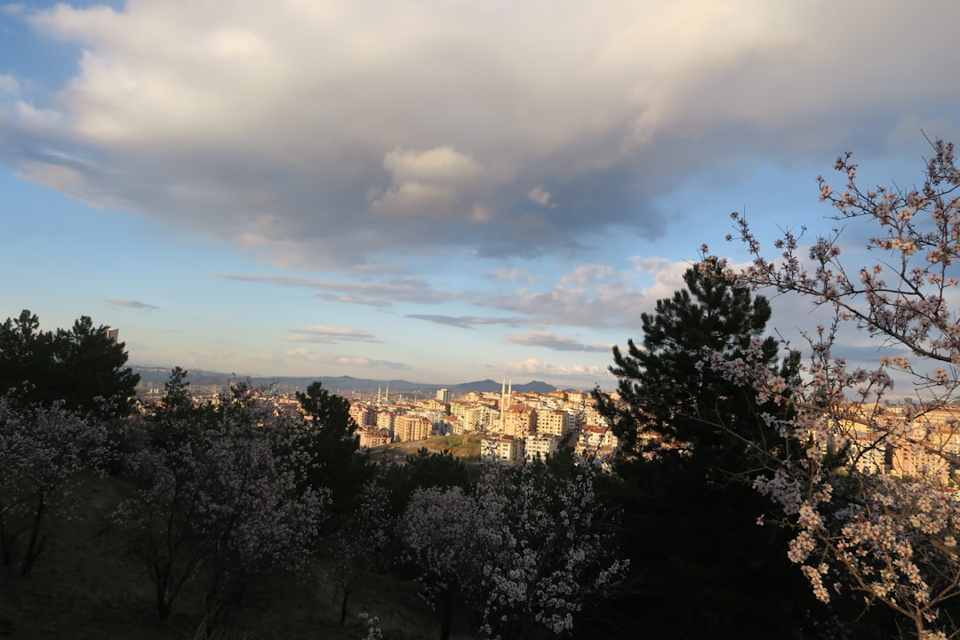 Ankara’da Dünya Sağlık Haftası’nda Doğada Sağlık İçin Yürüyüş Etkinliği - Yaşam haberi görseli