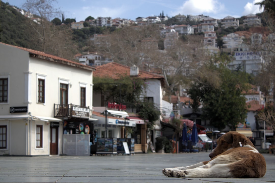 Antalya’da Toplu Ulaşımda Yeni Tarifeler Uygulanıyor - Yaşam haberi görseli Antalya’da Toplu Ulaşımda Yeni Tarifeler Uygulanıyor - Yaşam haberi görseli