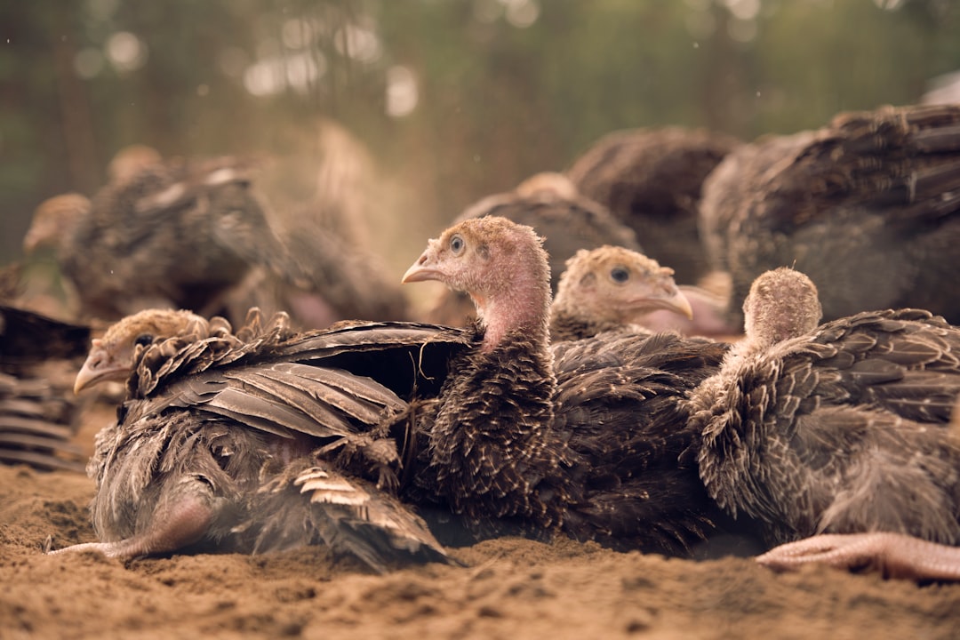 Gaziantep Ekonomisi 2025’te Güçlü Büyüdü, 2026’ya Üretim Odaklı Başlanıyor - Ekonomi haberi görseli