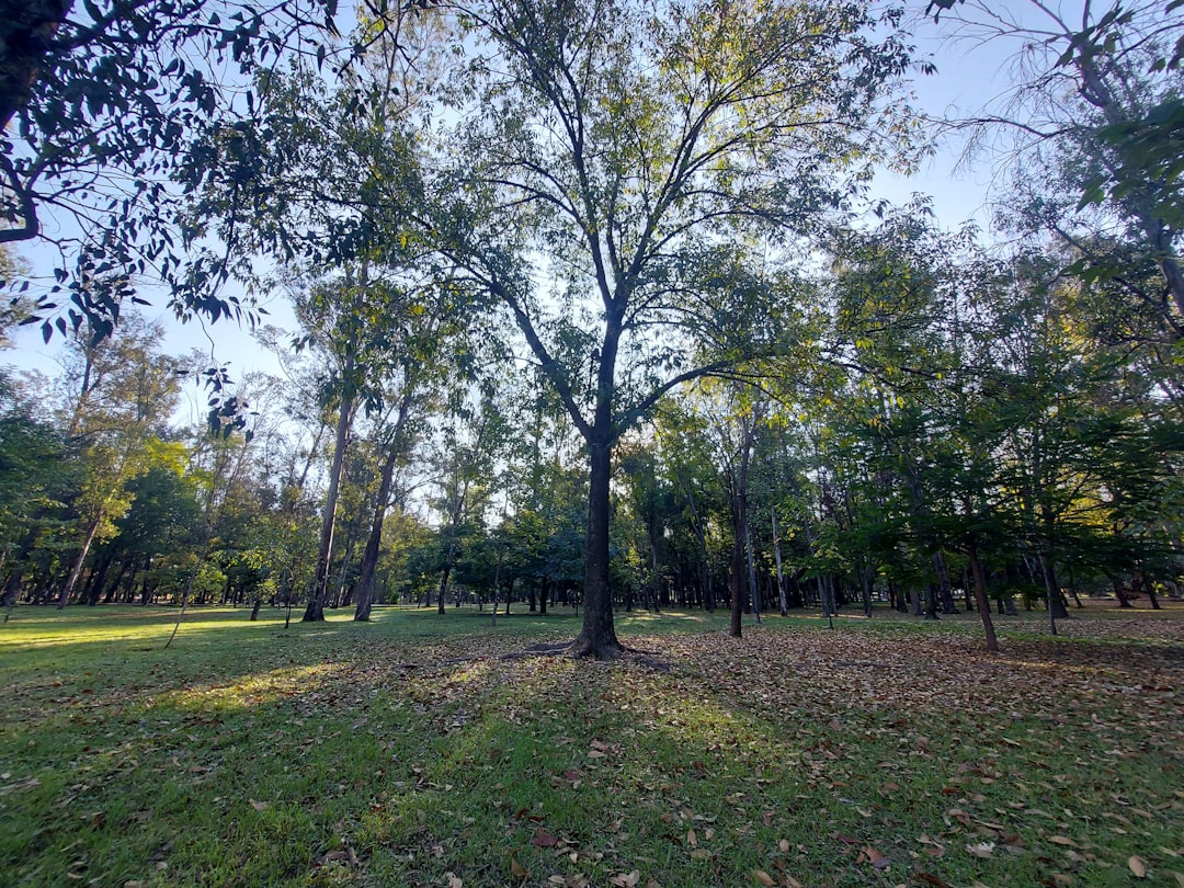 Nilüfer’e Yeni Park: Zafer Parkı ve Koşu Yolu Açıldı - Yaşam haberi görseli