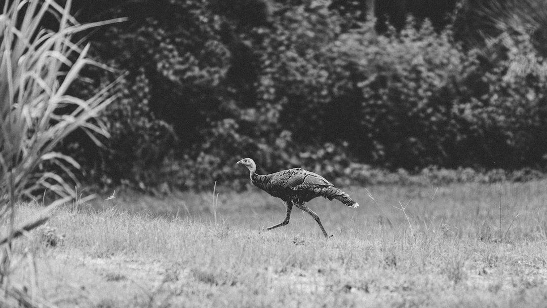 Gaziantep’te Aynı Ebe Kadından Gebelikten Lohusalığa Sürekli Hizmet Modeli - Sağlık haberi görseli Gaziantep’te Aynı Ebe Kadından Gebelikten Lohusalığa Sürekli Hizmet Modeli - Sağlık haberi görseli