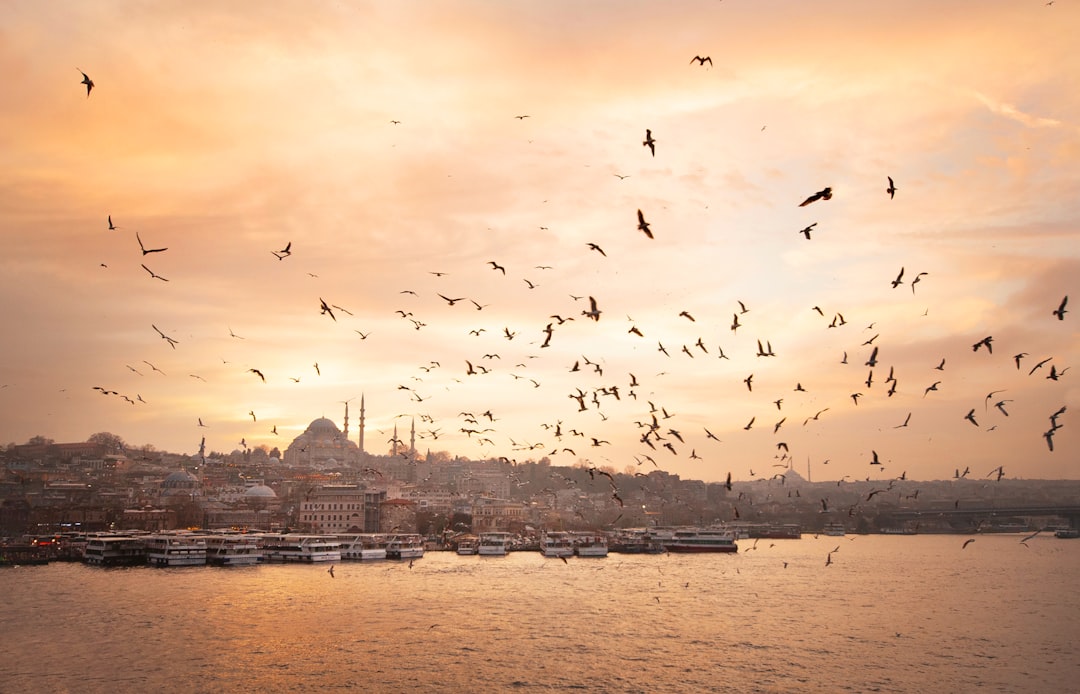 İstanbul'da Bugün Hava Kapalı ve Serin Seyrediyor - Gündem haberi görseli İstanbul'da Bugün Hava Kapalı ve Serin Seyrediyor - Gündem haberi görseli