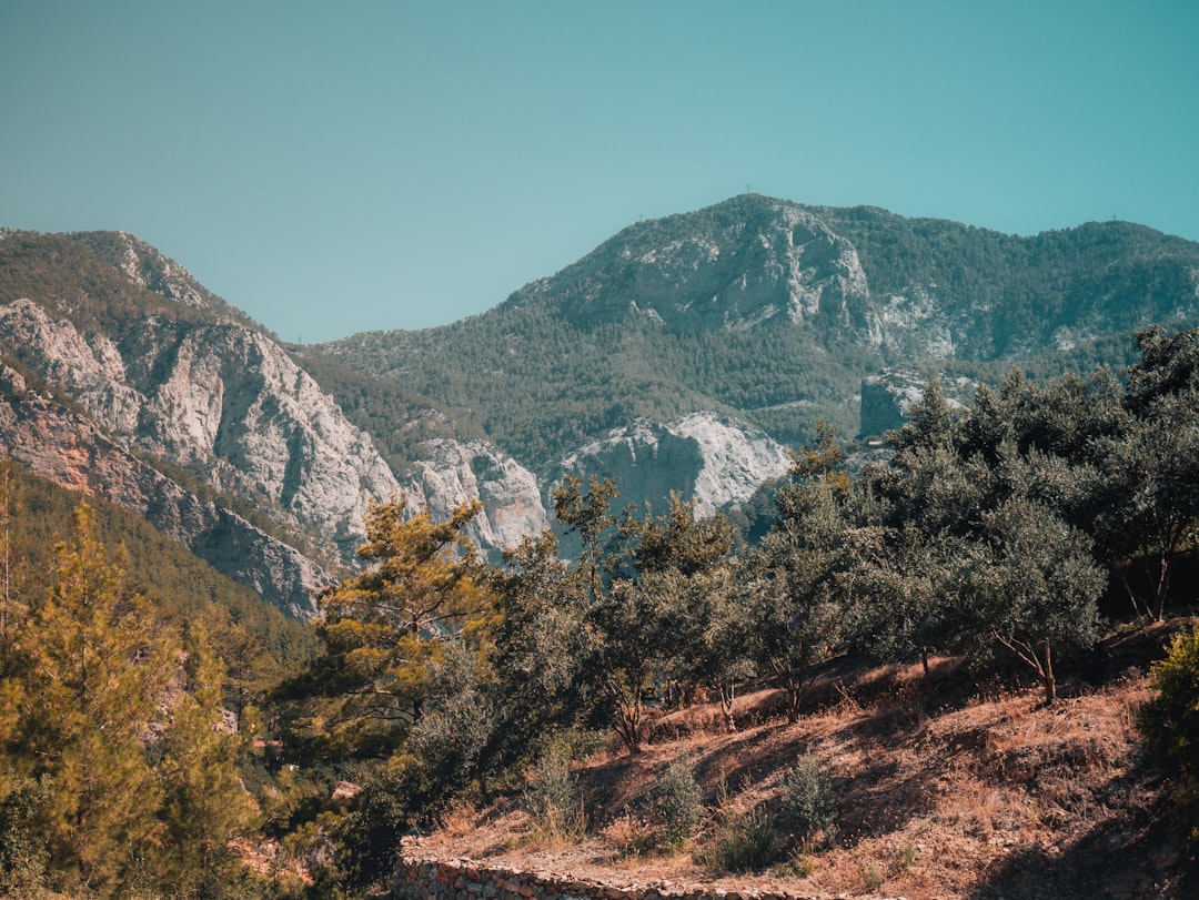 Antalya’da Yaşam Hareketliliği ve Sağlık Hizmetinde Güncel Gelişmeler - Yaşam haberi görseli Antalya’da Yaşam Hareketliliği ve Sağlık Hizmetinde Güncel Gelişmeler - Yaşam haberi görseli