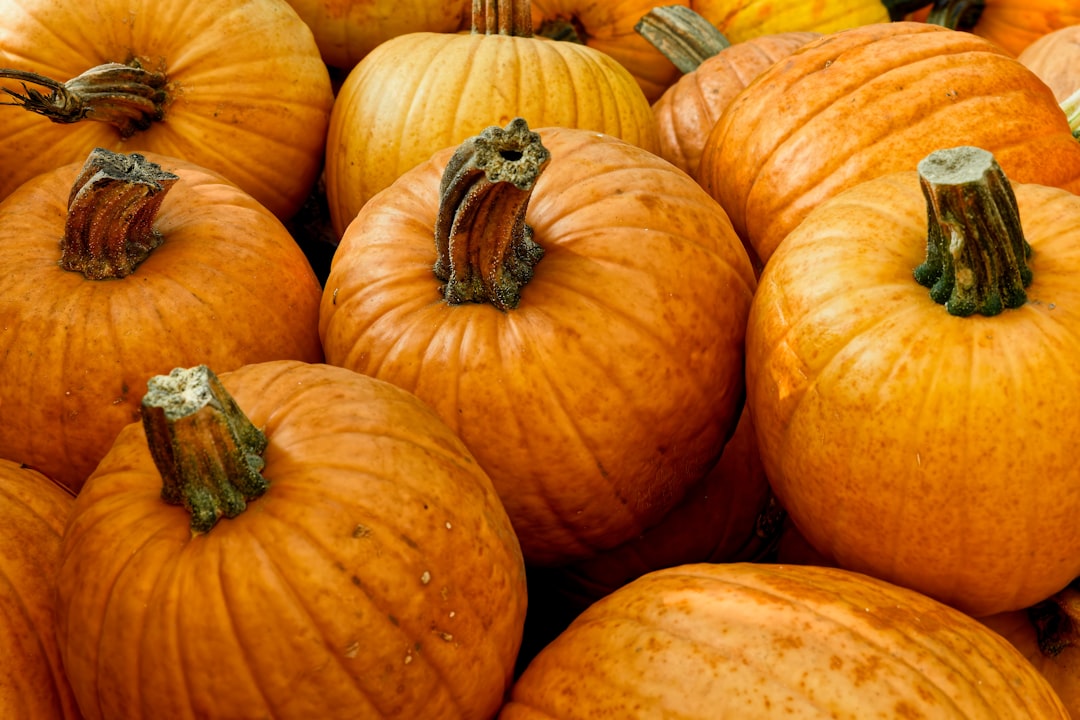 Konya Tarım Fuarı Sona Erdi, Şehir Ekonomisine Can Suyu Oldu - Gündem haberi görseli