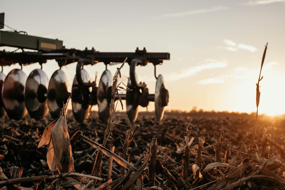 Konya’da Nisan Ayı İklimi Çiftçiyi Sevindiriyor - Yaşam haberi görseli