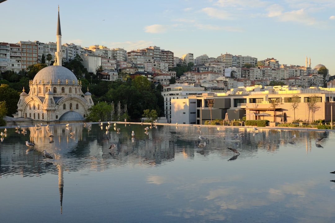 Dijital Deneyim Merkezi’nde ‘Kiraz Çiçeği Günleri’ Başlıyor - Kültür-Sanat haberi görseli