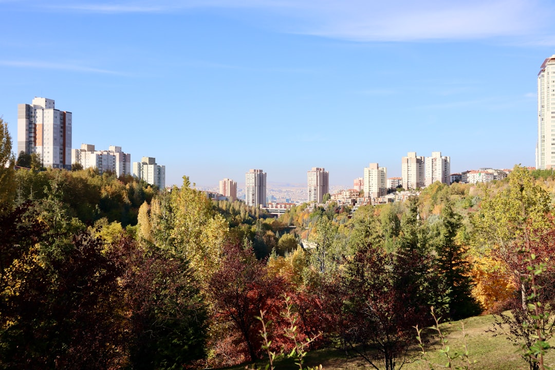 CSO Ada Ankara’da ‘Küçük Prens’ Atölyesi Çocuklarla Buluştu - Kültür-Sanat haberi görseli