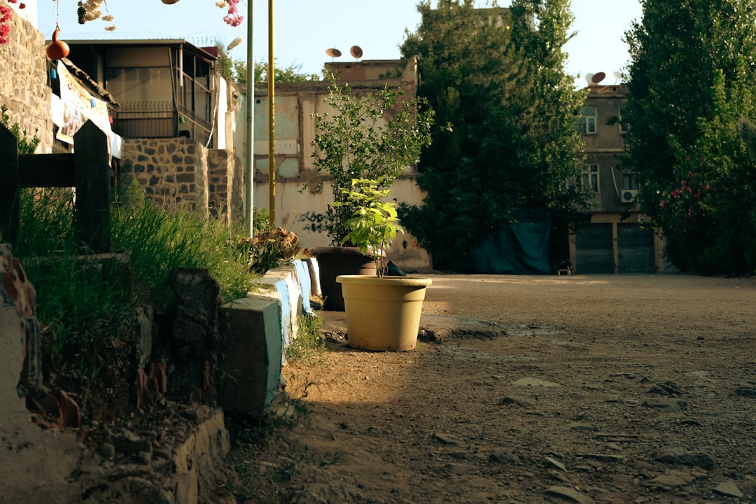 Adana Ticaret Borsası Güncel Tarımsal Ürün Fiyatlarını Açıkladı - Ekonomi haberi görseli Adana Ticaret Borsası Güncel Tarımsal Ürün Fiyatlarını Açıkladı - Ekonomi haberi görseli