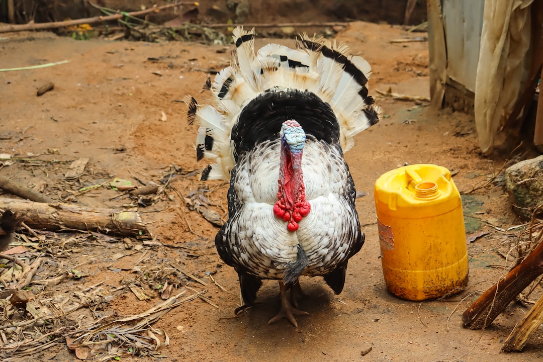 Adana Sağlık Müdürlüğü’nden “Sağlıklı Çocuk, Sağlıklı Gelecek” Programı - Sağlık haberi görseli Adana Sağlık Müdürlüğü’nden “Sağlıklı Çocuk, Sağlıklı Gelecek” Programı - Sağlık haberi görseli