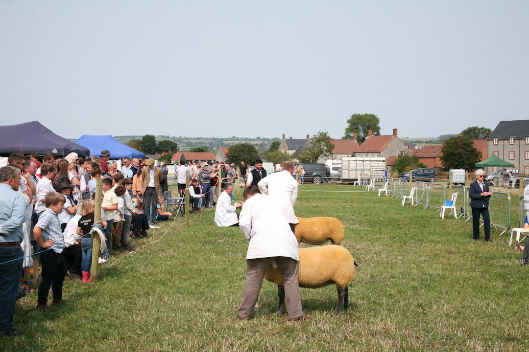İnegöllü Çiftçiler Konya Tarım Fuarı’nda Yeniliklerle Buluştu - Gündem haberi İnegöllü Çiftçiler Konya Tarım Fuarı’nda Yeniliklerle Buluştu - Gündem haberi