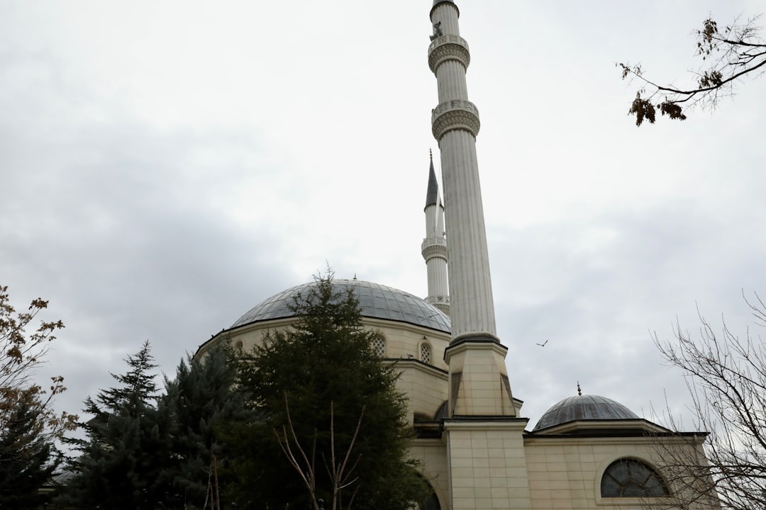 Ankara’da Baharın Gelişi Türk Kültür Şenliğiyle Kutlandı - Kültür-Sanat haberi