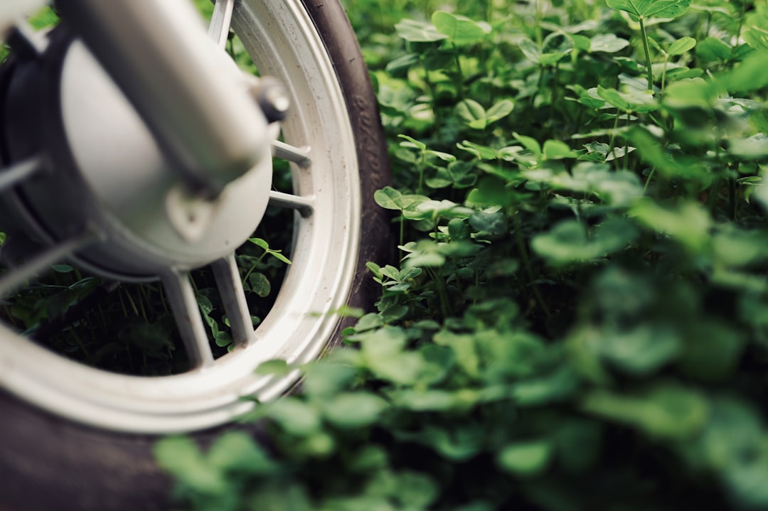 Kemer'de Gran Fondo Bisiklet Yarışları ‘Yeşil Gelecek’ Temasıyla Gerçekleşti - Yaşam haberi görseli Kemer'de Gran Fondo Bisiklet Yarışları ‘Yeşil Gelecek’ Temasıyla Gerçekleşti - Yaşam haberi görseli