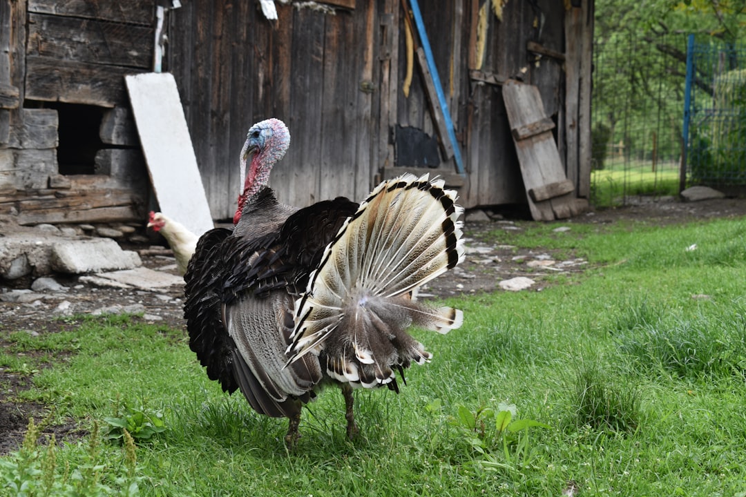 Göçük Kazasında Yaralanan İşçi Hayatını Kaybetti - Sağlık haberi görseli