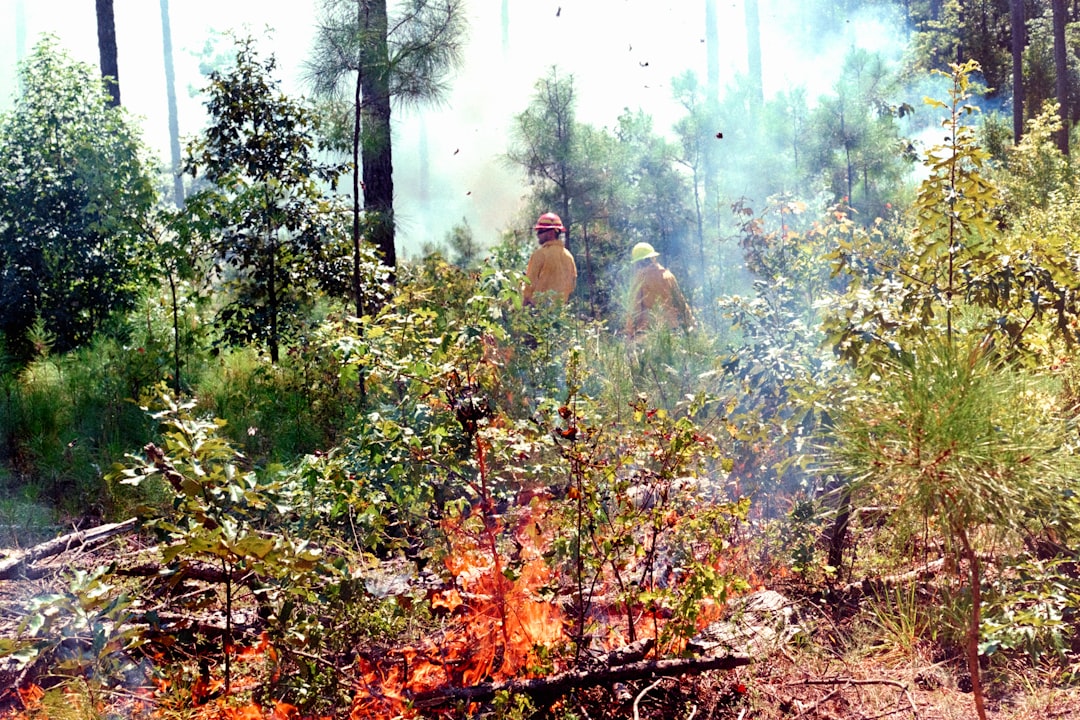 GTB İle İpekyolu Kalkınma Ajansı Arasında Kurumsal Risk Yönetimi Adımı - Ekonomi haberi