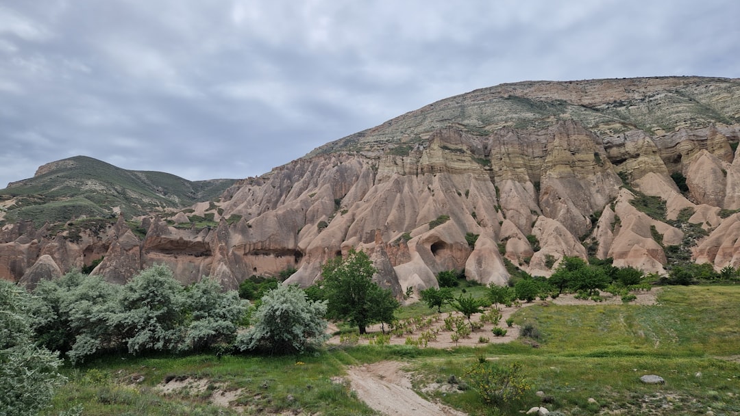 Seyhan Belediyespor’dan Altyapıda Tarihi Başarı - Gündem haberi görseli