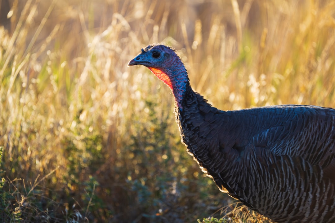 Gaziantep'te Tohum Takas ve Doğa Dostu Tarım Etkinliğine İlgi Yoğun - Gündem haberi görseli