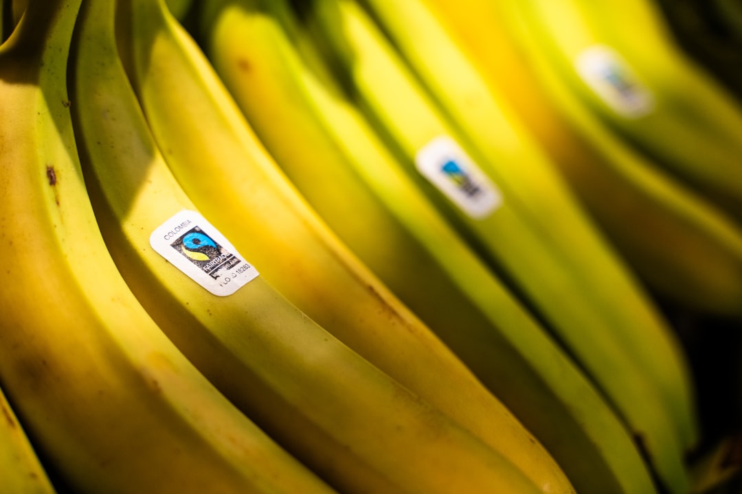 Konya Tarım Fuarı’nda Teknoloji Ziyade, Yatırım Gücü Sınırlı - Ekonomi haberi görseli