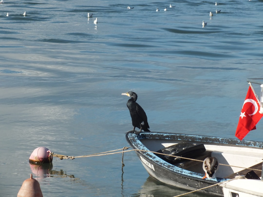 AFAD, Torbalı’da Kaybolan 2 Genci Güvenle Ailelerine Ulaştırdı - Yaşam haberi