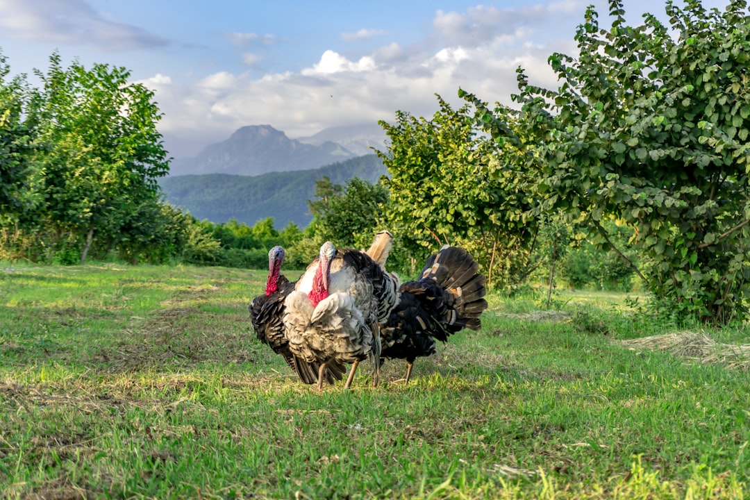 Çukurova Cup Genç Tenisçilerin Zaferine Sahne Oldu - Spor haberi görseli