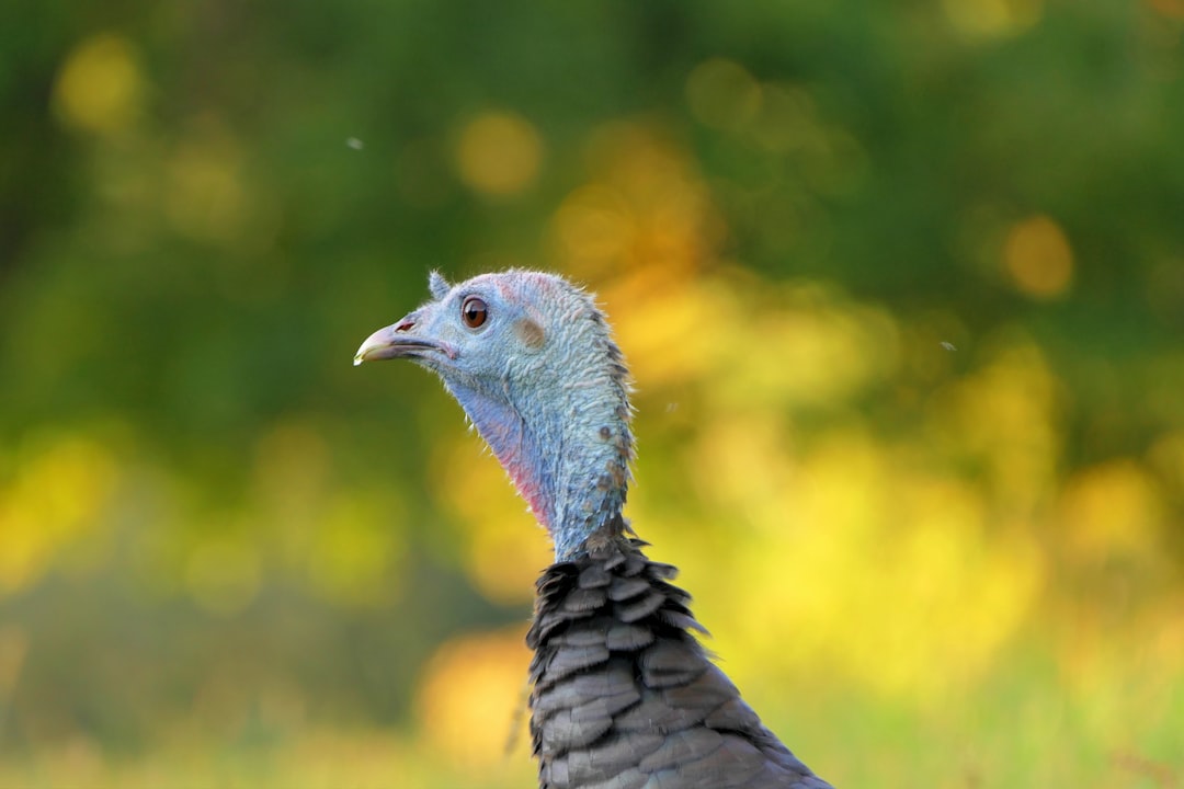 Cengiz Gökçek Kadın Doğum Hastanesi’nde Pediatrik Cerrahi Bölümü Hizmete Girdi - Sağlık haberi
