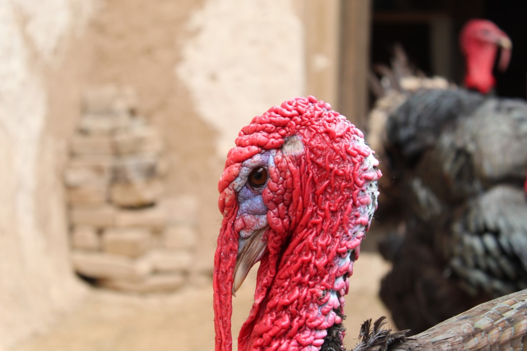 Gaziantep’te 'Canlı Performans Resim Yarışması' Şehirle Buluşuyor - Kültür-Sanat haberi
