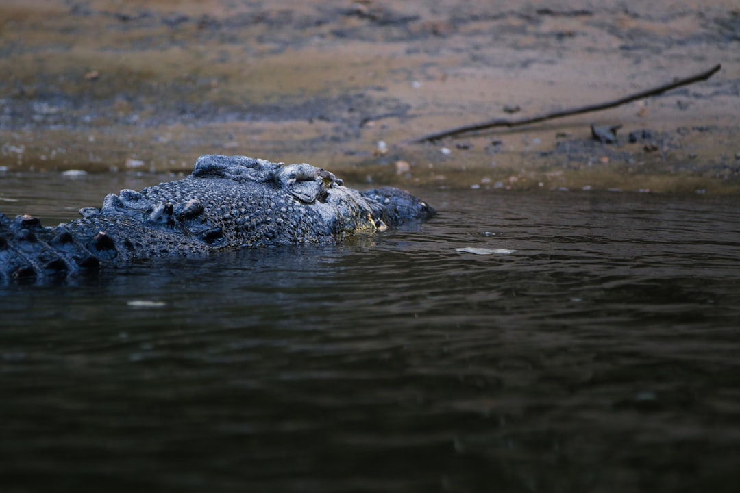 Adana’da Türkiye’nin Tek Deri Bankasına Bağışlar Artıyor - Sağlık haberi görseli