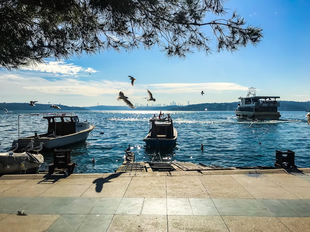 İstanbul Valiliği’nden Beykoz’a 240 Milyon TL’lik Altyapı ve Kültür Yatırımı - Ekonomi haberi görseli