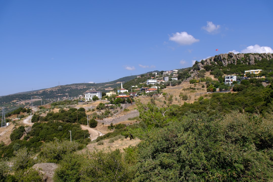 İzmir’in bağcılık mirası “Bağ Yolu” ile canlanıyor - Ekonomi haberi görseli