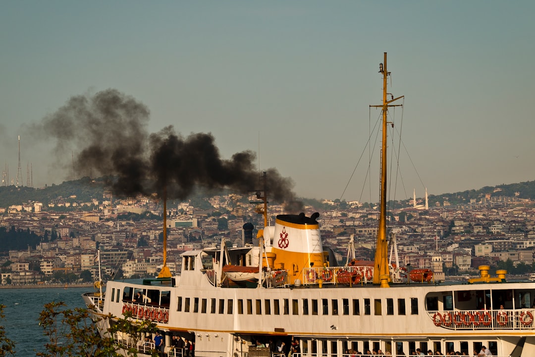 İzmir Doğal Yaşam Parkı'nda Hayatın Mucizesi: Yavru Ceylan ve Su Aygırının Sağlığına Kavuşması - Yaşam haberi görseli