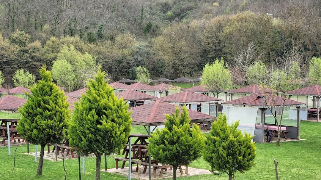 İstanbul'da Yeni Yaşam Anlayışı: Doğal ve Akıllı Evlerin Yakınlaşması - Yaşam haberi görseli